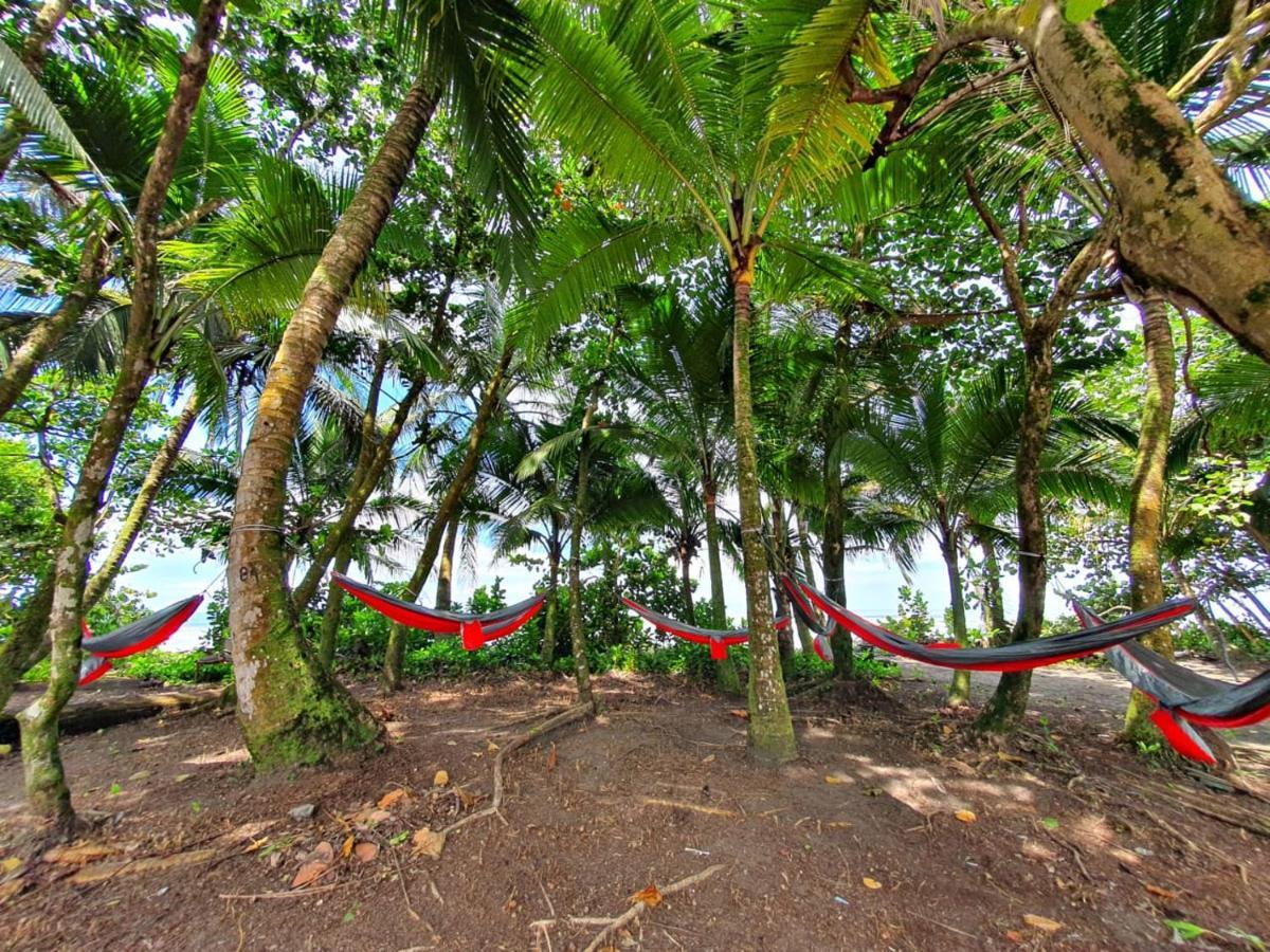 Caribbean View Apartman Tortuguero Kültér fotó