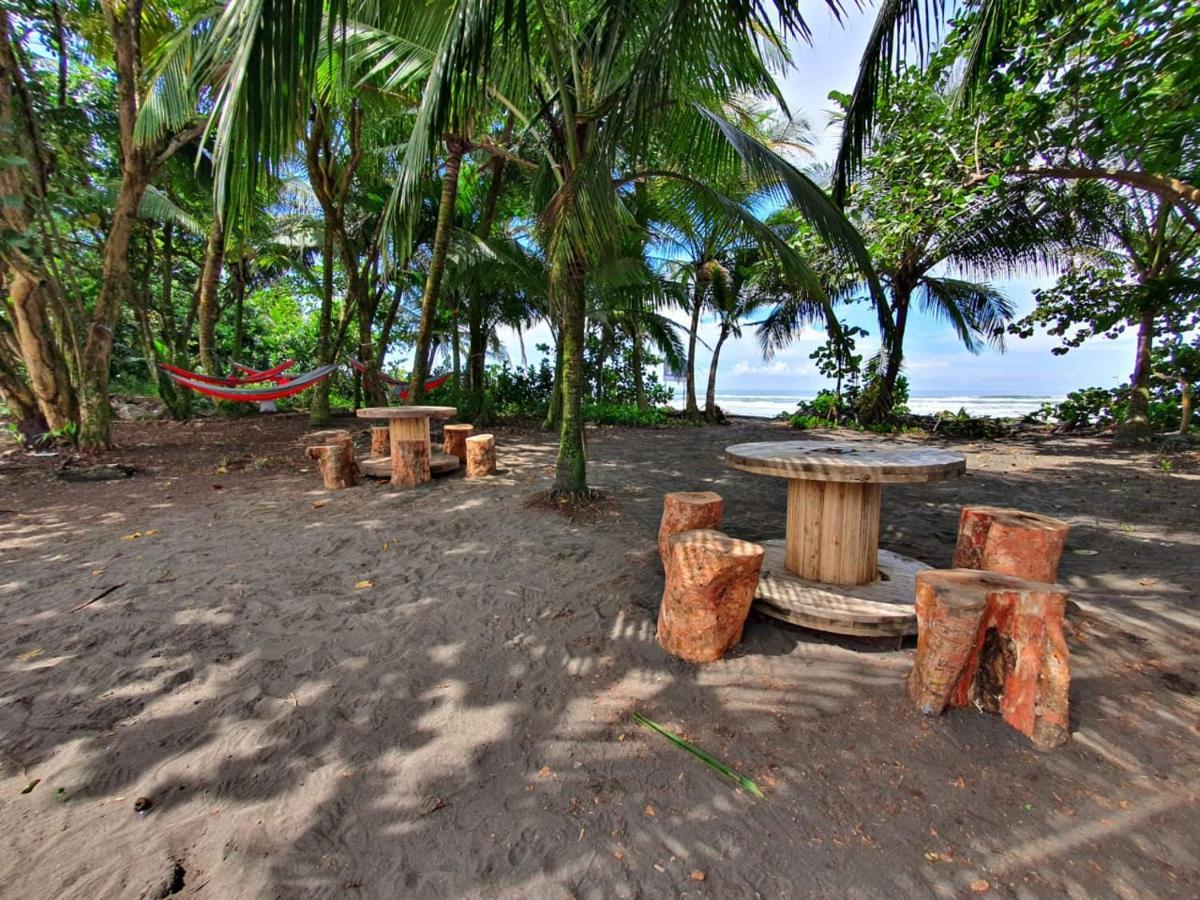 Caribbean View Apartman Tortuguero Kültér fotó