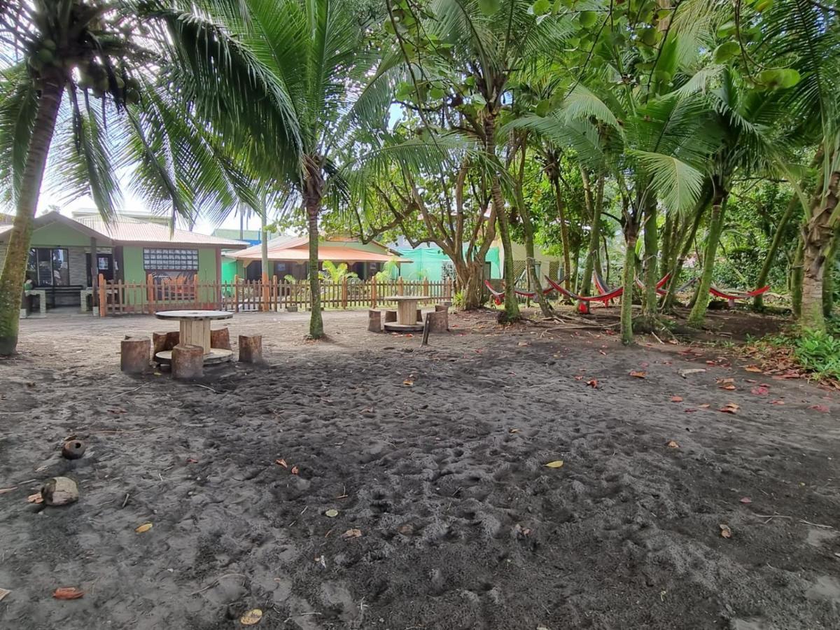 Caribbean View Apartman Tortuguero Kültér fotó