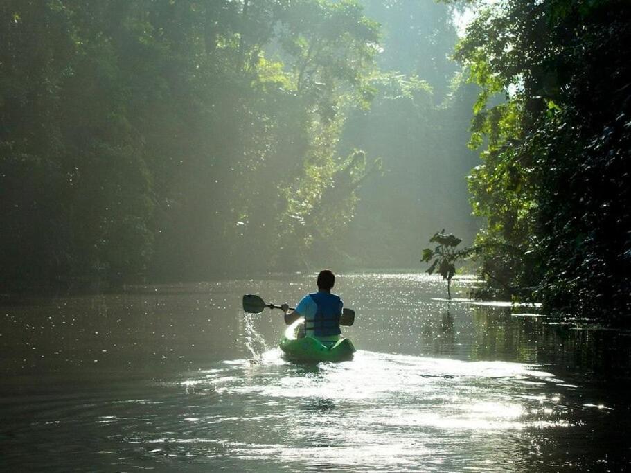 Caribbean View Apartman Tortuguero Kültér fotó
