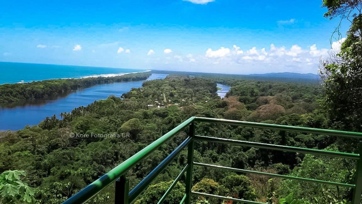 Caribbean View Apartman Tortuguero Kültér fotó