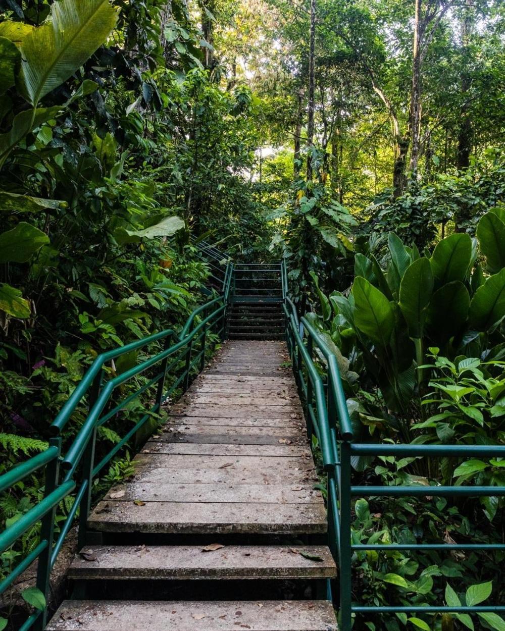 Caribbean View Apartman Tortuguero Kültér fotó