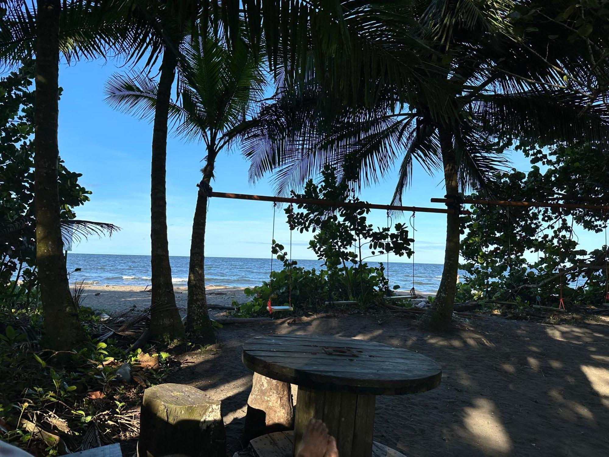 Caribbean View Apartman Tortuguero Kültér fotó