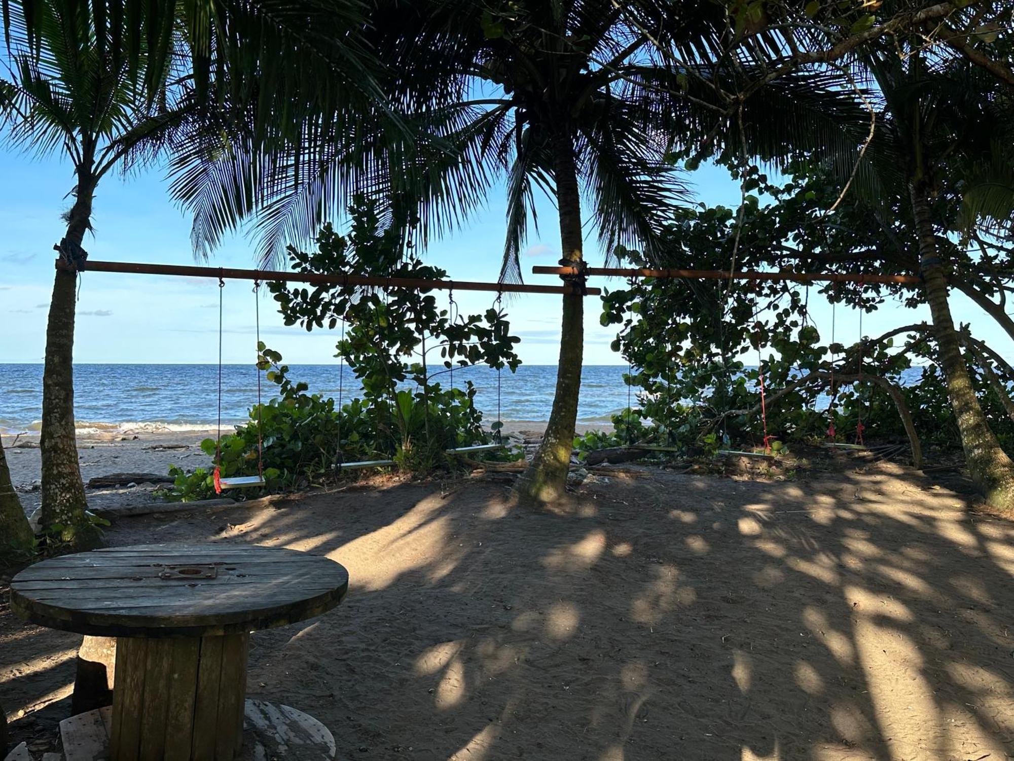 Caribbean View Apartman Tortuguero Kültér fotó
